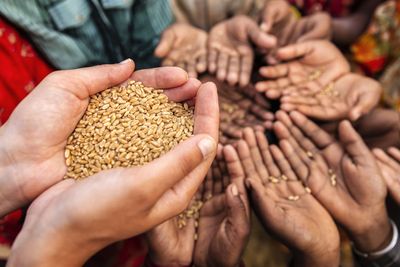 Conflicts and energy shocks threaten progress against global hunger, UN agency head warns