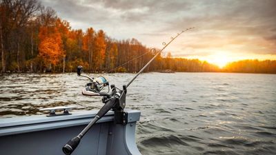 Man fishes with sonar in North Dakota lake. Then he pulls up a ‘1-in-a-billion’ bright golden catch