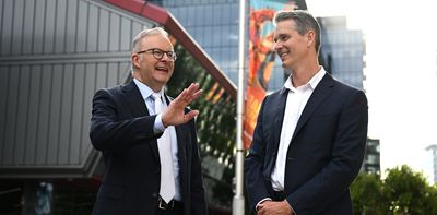 View from The Hill: Labor’s Andrew Charlton surfs the AI wave