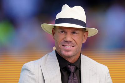 Ex-Australia batter David Warner admits drink-driving