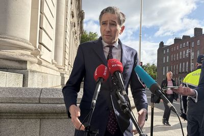 Ireland ‘ready to support’ closer UK-EU ties under Burnham, says deputy premier