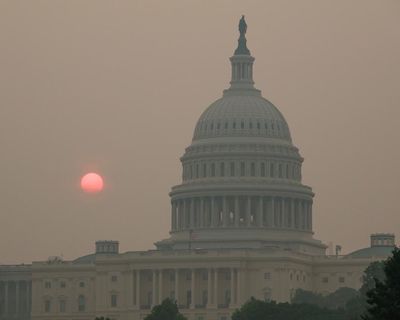 The world is on fire, and who does Trump blame? The Canadians