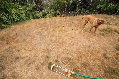 Mapped: The eight UK areas at risk of drought after record-breaking heatwaves