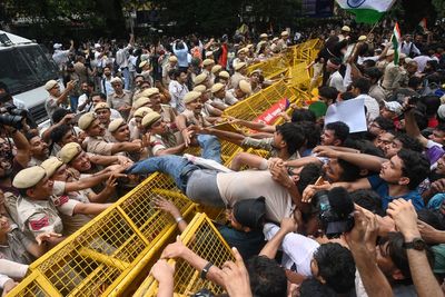Police crackdown on India’s ‘cockroach’ protest appears to backfire as support for movement surges