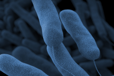 NYC’s deadly Legionnaires’ outbreak kills fifth person as officials race to stop it