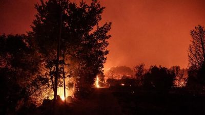 Fast-moving wildfire in southern France forces hundreds to flee