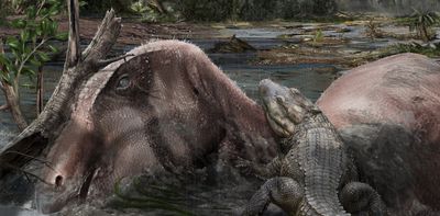 Storms that built a graveyard: ancient monsoons created a spectacular dinosaur fossil site