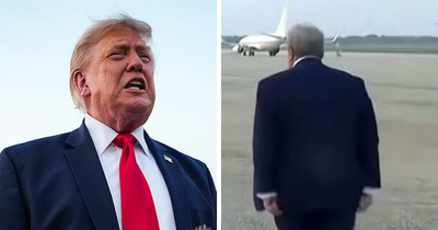 Donald Trump Body Double Conspiracy Theory Gains Ground After People Spot Detail In Background Of Interview