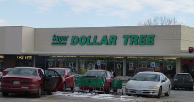 'Tagging' and 'Sharking': Inside the Sick 'Dollar Tree Gooner' Trend Targeting Female Shoppers