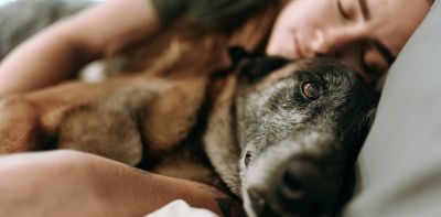 The violence link: Animal maltreatment and family violence often happen together