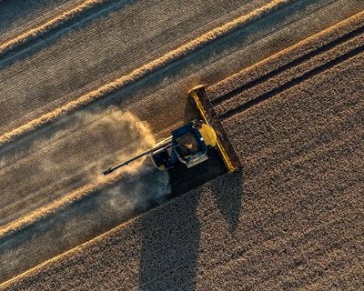 Food price fears after Europe’s heatwave destroys estimated €2bn of crops