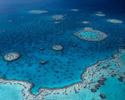Great Barrier Reef microbiome mapped as researchers discover 500 bacterial species previously unknown to science