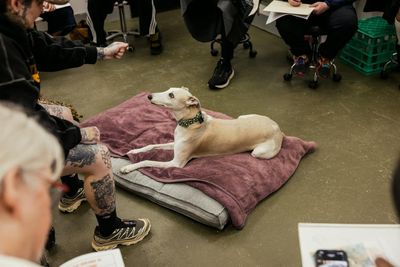At greyhound life drawing, artists try to tackle complicated shapes