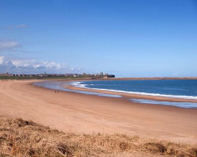 One billion plastic pellets spilled into River Tyne after two ships collide