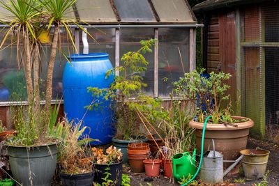 Are Punctured Rain Barrels the Next Low-Cost Irrigation Trend?