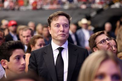 'Posh Tommy Robinson': Elon Musk Slammed Over 'Anti-White' Attack on Christopher Nolan Movie