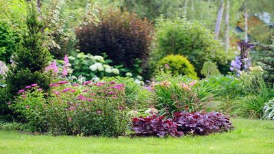 This 10-Minute Midsummer Border Reset Will Make Your Garden Look Instantly Better