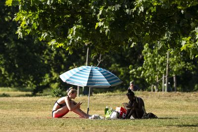 London's best boroughs for leafy parks revealed - where does your area rank?
