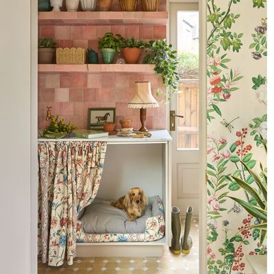 Pet rooms are on the rise – here's how to create a functional place for your furry friend in a kitchen