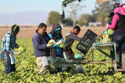 Cyclospora parasite behind diarrhea outbreak is only transmitted through human feces. So how did it get into our food supply?