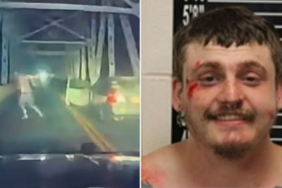 Wild moment shirtless driver leaps head-first off bridge after being pulled over for speeding by police