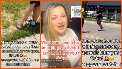 Missouri women save turtle in road. Then a cop pulls them over: ‘Don’t pay the ticket’