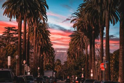 Microdrama Mania Hits Hollywood as Four New Studios and Deals Launch in a Single Day