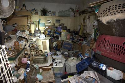 Florida woman charged with animal cruelty after nearly 100 animals rescued from home