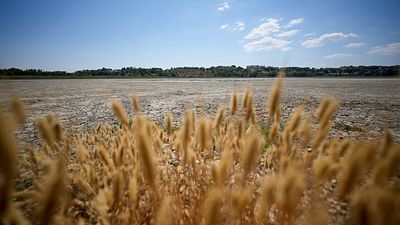 ‘Scorching, dry summers’: Heat rather than lack of rain is now to blame for Europe’s droughts
