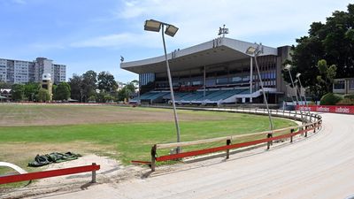 Dog days over with racetrack turfed out by end of year