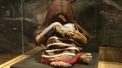 Sacrificed Inca children died very differently than we thought, study finds