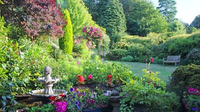 7 Flowers to Plant Around Your Bird Bath to Create a Joyful Backyard Sanctuary That Birds, Bees, and Butterflies Will Love