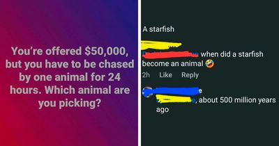 79 Times People Had The Pleasure Of Correcting Someone Online In The Most Satisfying Way