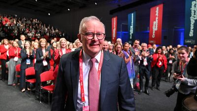 'That's not true': Labor's warning to tech bros on AI