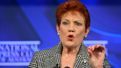 'Out of context': Pauline Hanson rejects downplaying DV