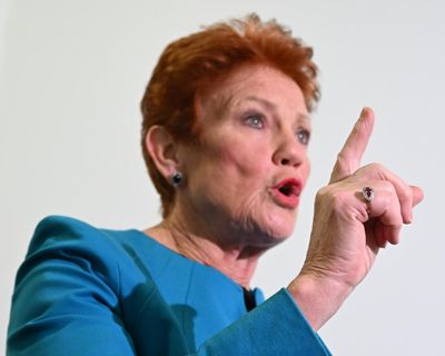 Pauline Hanson says domestic violence prevents police from dealing with ‘real crime’ in unearthed interview