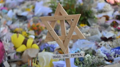 'Fundamentally wrong' man wore Nazi sign outside probe