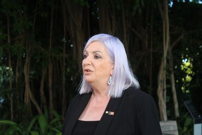 NT minister claims Earth’s magnetic poles could flip if territory doesn’t use more groundwater