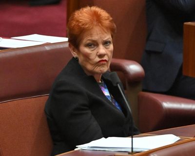 Afternoon Update: Hanson calls domestic violence leave ‘ridiculous’; Husic urges gas tax; and orcas’ explosive hunting habits