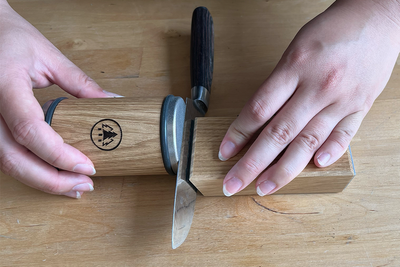 9 best knife sharpeners, reviewed by a food writer