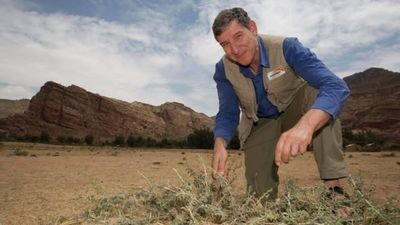 An Australian “forest maker” helped farmers in Niger regrow more than 200 million trees by pruning living stumps, roots and seeds hidden beneath dry land