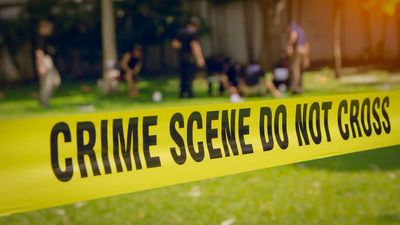 The Homicide Rate Has Dropped to Historic Lows. Contrary to What Politicians Say, No One Really Knows Why.