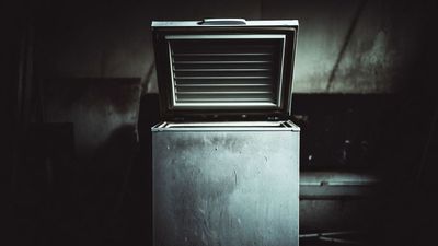 Alaska family begins clearing out home of deceased relative, discovers ‘human remains’ concealed in chest freezer