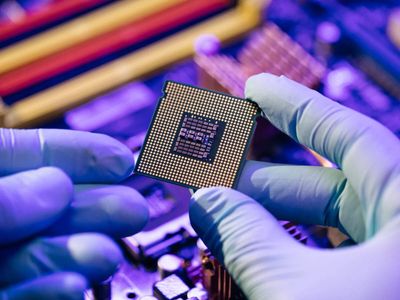 UAE eyes energy, food, semiconductor sectors for stronger investment ties with Gujarat