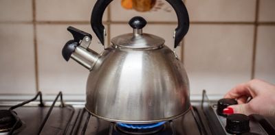 Replacing gas stoves with electric stoves greatly reduces asthma symptoms