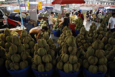 China’s durian imports from Thailand and Malaysia soar as glut pressures growers