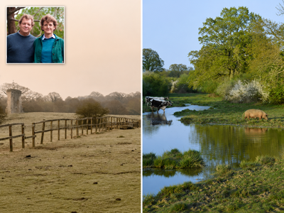 A couple gave up on a failing Sussex farm, pulled out the fences and let 3,500 acres go feral; it became the template for British rewilding