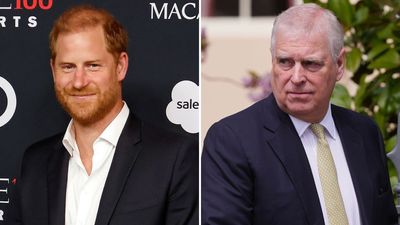 Prince Harry and Andrew Mountbatten-Windsor's unexpected nickname from palace insiders after 'frustrating' comparisons