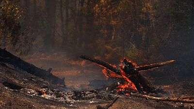 Thousands evacuated as wildfire spreads in southwestern France
