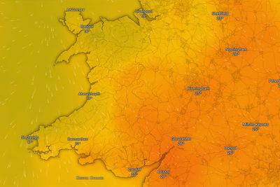 Drought declared across parts of Wales after record dry weather and heatwaves